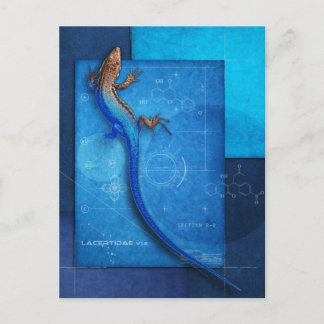 Carte Postale Lacertidae v1.2