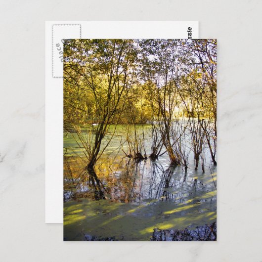 CARTE POSTALE LACS (Devant / Derrière)