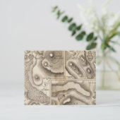 Carte Postale Lacs (Debout devant)