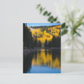 Carte Postale Lacs de Mesa en automne (Debout devant)