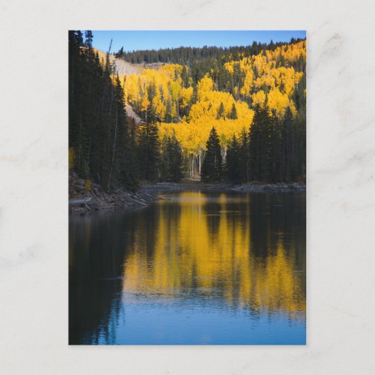 Carte Postale Lacs de Mesa en automne (Devant)