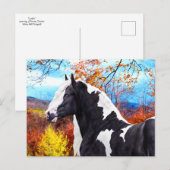 Carte Postale "Laddie" (Devant / Derrière)