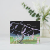 Carte Postale "L'adieu du serpent" Transformé Snakeskin (Debout devant)