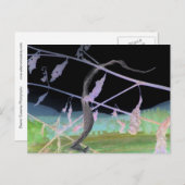 Carte Postale "L'adieu du serpent" Transformé Snakeskin (Devant / Derrière)