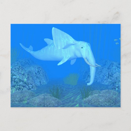 Carte Postale L'adorable cordon (Devant)