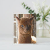 Carte postale Lady Jackie (Debout devant)