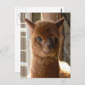 Carte postale Lady Jackie (Devant / Derrière)