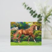 Carte Postale "Lady Jane" (Debout devant)