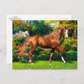 Carte Postale "Lady Jane" (Devant / Derrière)