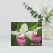 Carte postale Lady Slipper (Debout devant)