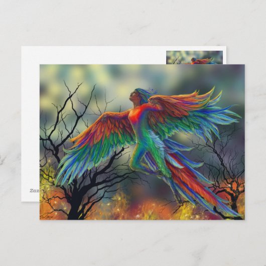 Carte Postale Ladybird (Devant / Derrière)