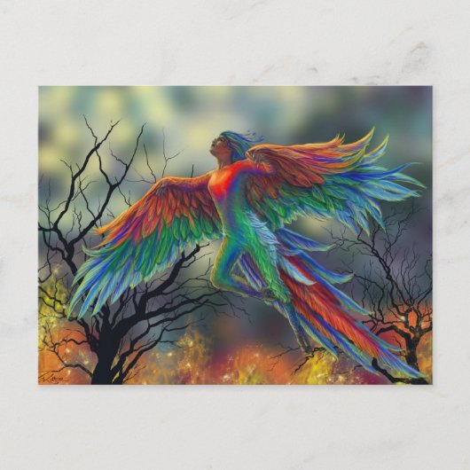 Carte Postale Ladybird (Devant)