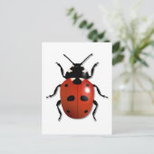 Carte Postale Ladybird (Debout devant)