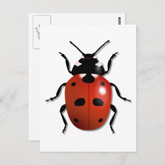 Carte Postale Ladybird (Devant / Derrière)