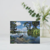 Carte Postale Ladybird Lake / Austin Texas Skyline 3 (Debout devant)