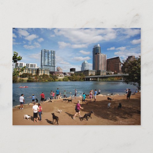 Carte Postale Ladybird Lake Dog Park Austin Texas Skyline (Devant)
