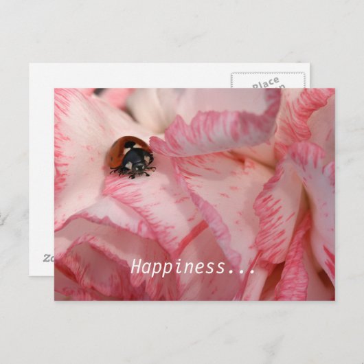 Carte postale Ladybug (Devant / Derrière)