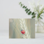 Carte Postale Ladybug (Debout devant)