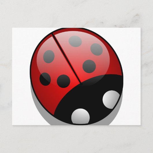 Carte Postale Ladybug (Devant)