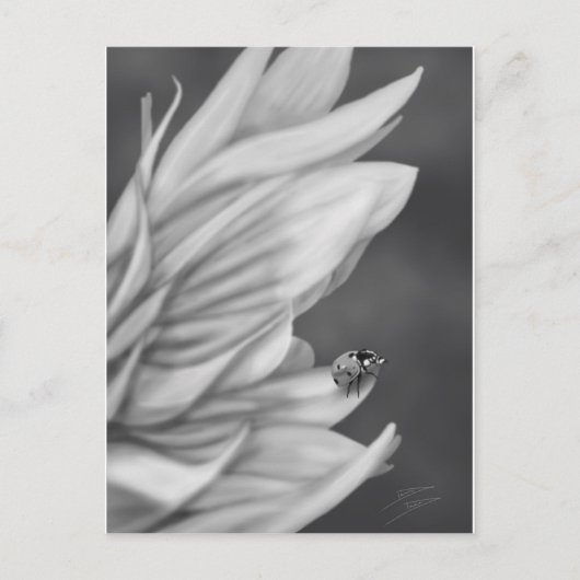 Carte Postale Ladybug (Devant)