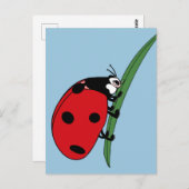 Carte Postale Ladybug à la soif (Devant / Derrière)