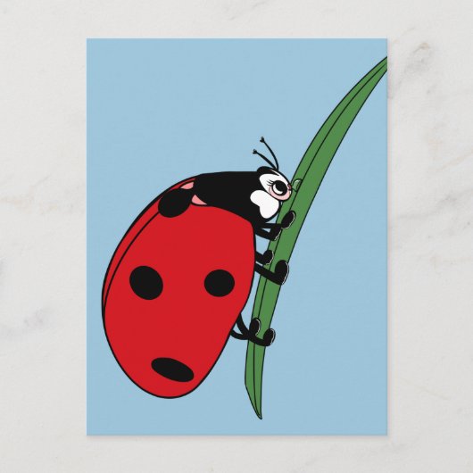 Carte Postale Ladybug à la soif (Devant)