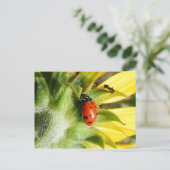 Carte Postale Ladybug & Ant (Debout devant)