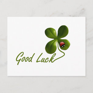 Carte Postale Ladybug dot beetle Office Destiny Destiny Personna