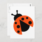 Carte Postale Ladybug ladybird (Devant / Derrière)