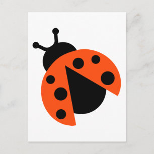 Carte Postale Ladybug ladybird