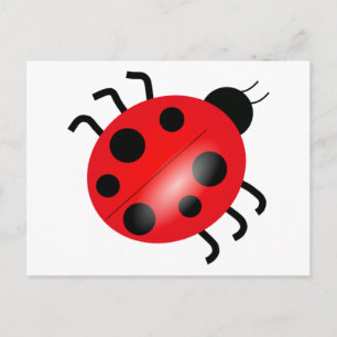 Carte Postale Ladybug - Ladybird