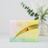Carte Postale Ladybug Leaf (Debout devant)