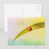 Carte Postale Ladybug Leaf (Devant / Derrière)