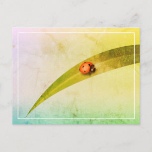 Carte Postale Ladybug Leaf
