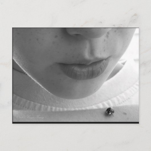 Carte Postale Ladybug noir et blanc (Devant)