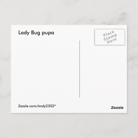 Carte Postale Ladybug pupa (Dos)