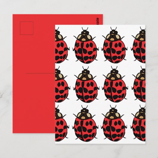 Carte Postale Ladybug Red Black Insect Ladybug (Devant / Derrière)