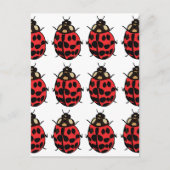 Carte Postale Ladybug Red Black Insect Ladybug (Devant)