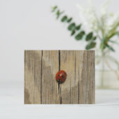 Carte Postale Ladybug sur bois (Debout devant)