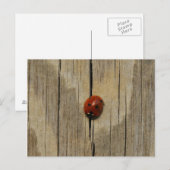 Carte Postale Ladybug sur bois (Devant / Derrière)