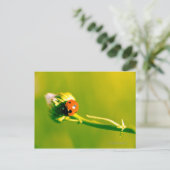 Carte Postale Ladybug sur sprig (Debout devant)