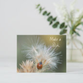 Carte postale Ladybug Wish (Debout devant)