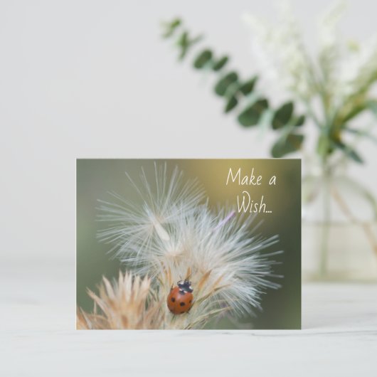 Carte postale Ladybug Wish (Debout devant)