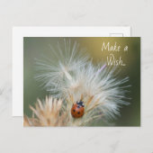 Carte postale Ladybug Wish (Devant / Derrière)