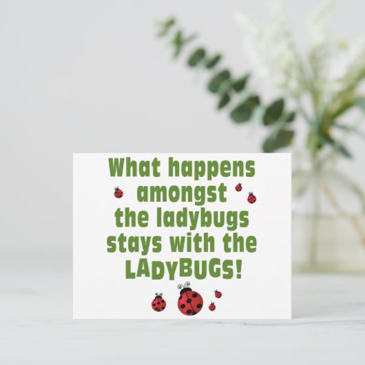 Carte Postale Ladybugs (Debout devant)