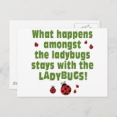 Carte Postale Ladybugs (Devant / Derrière)
