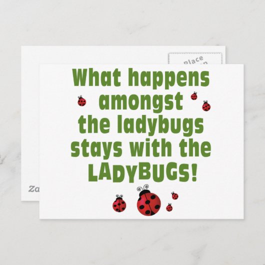 Carte Postale Ladybugs (Devant / Derrière)