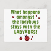 Carte Postale Ladybugs (Devant)