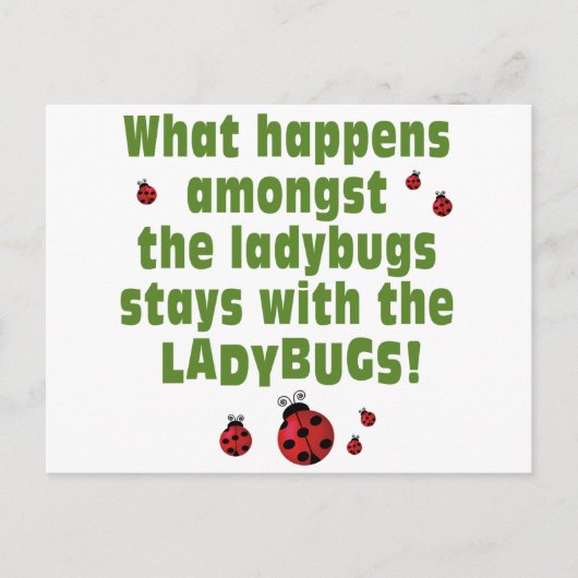 Carte Postale Ladybugs (Devant)