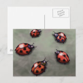 Carte Postale Ladybugs (Devant / Derrière)